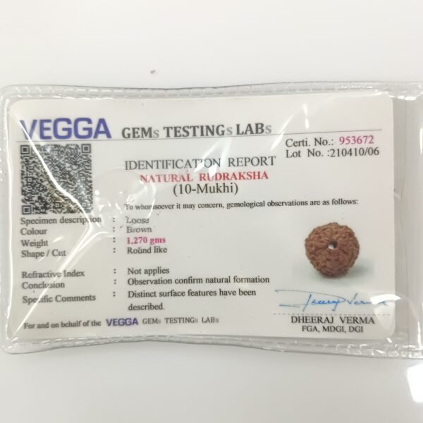 10 mukhi rudraksha certificate