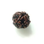 natural 4 mukhi rudraksha - (SKU: GAR4)