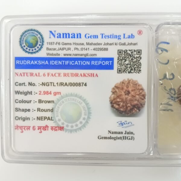 6 mukhi rudraksha certificate