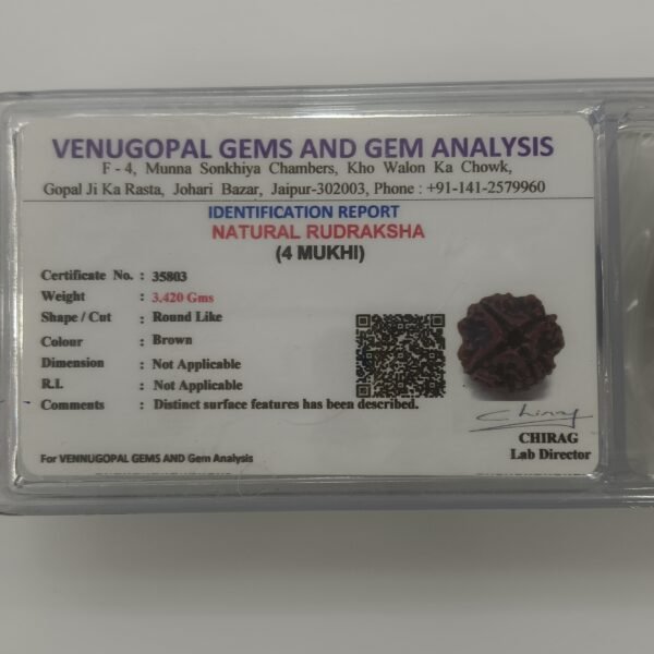 4 mukhi rudraksha certificate
