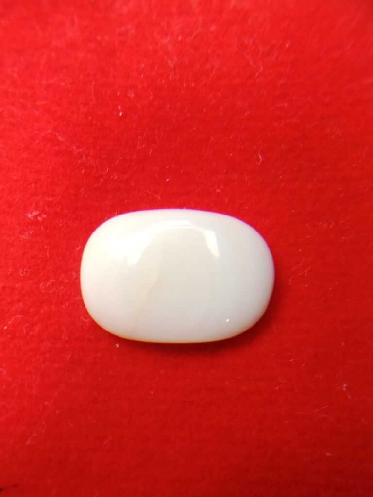 white coral moonga