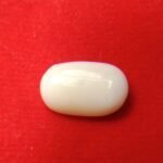 white coral moonga