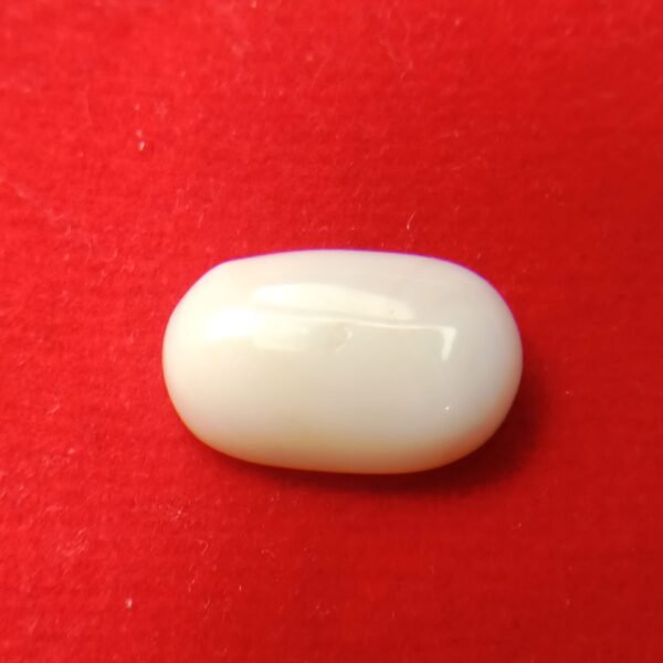 white coral moonga