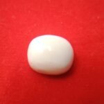 white coral moonga