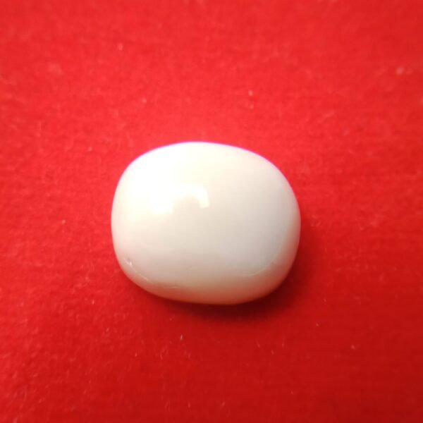 white coral moonga
