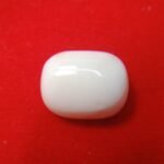 white coral moonga