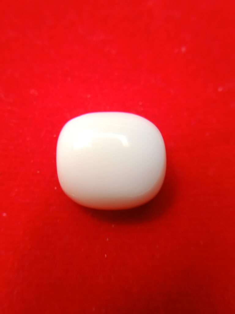 white coral moonga