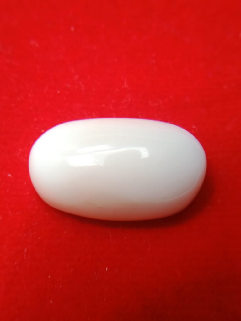 white coral moonga