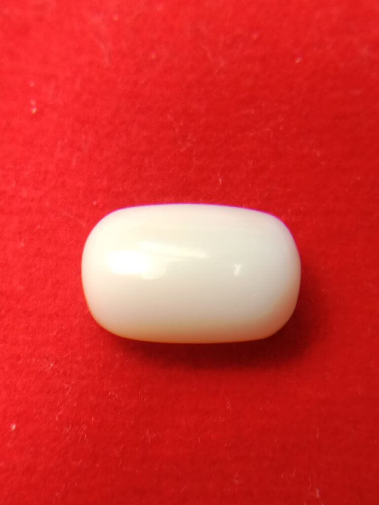 white coral moonga