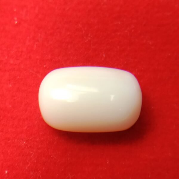 white coral moonga