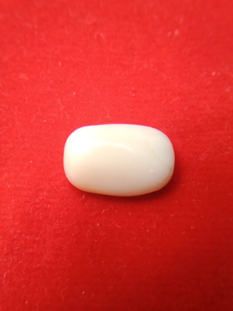 white coral moonga