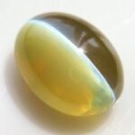 Cats Eye (Lehsunia)