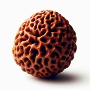 rudraksha