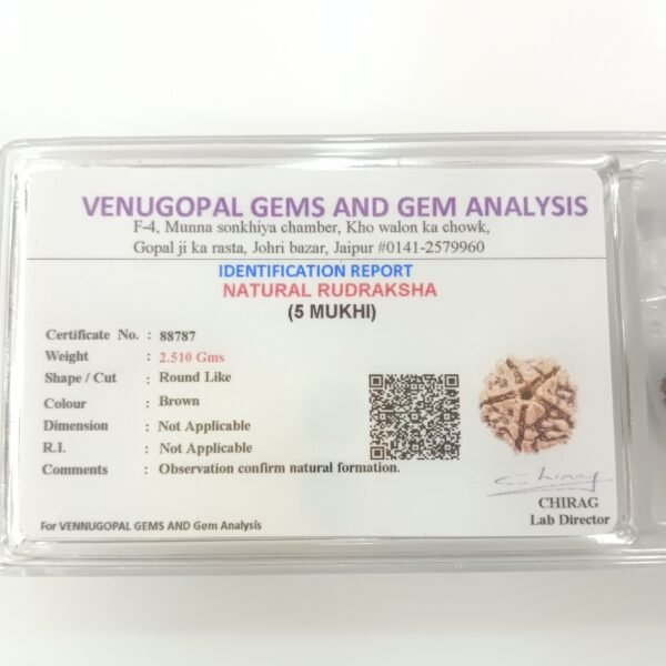 5 mukhi rudraksha certificate