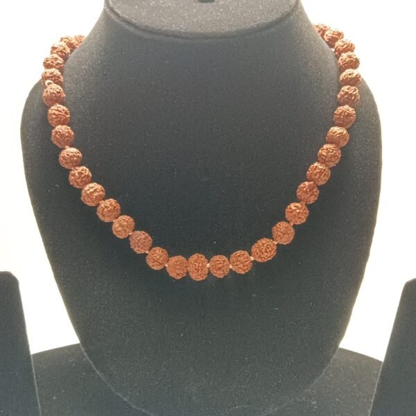 original rudraksha mala 9mm