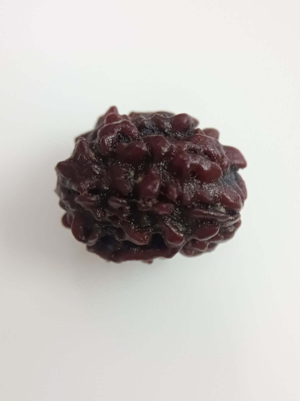 Rudraksha 3 Mukhi