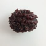 Rudraksha 3 Mukhi - gar3