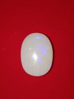 fire Opal 12.33 Carat/ 13.50 Ratti