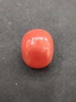 Moonga 19.03 Carat/21 Ratti