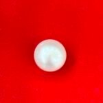 Chinese Freshwater Pearl 6.10 Carat - GA1503