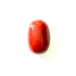 red coral moonga oval shape- GA8431