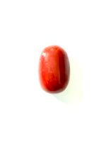red coral moonga oval shape- GA8431