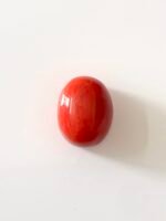 red coral moonga oval shape- GA0724