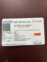 Certificate of red coral- GA1430