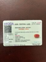 Certificate of red coral- GA8433