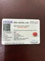 Certificate of red coral- GA8429