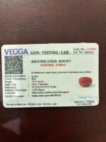 Certificate of red coral- GA8431