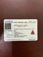 Certificate of red coral- GA8439