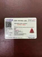 Certificate of red coral- GA8446