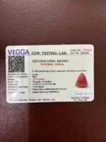 Certificate of red coral- GA8447