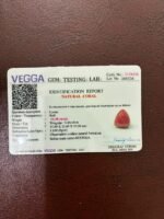 Certificate of red coral- GA8438