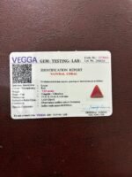Certificate of red coral- GA