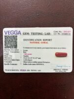 Certificate of red coral- GA1437