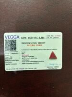 Certificate of red coral- GA8443
